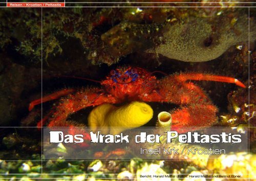 Das Wrack der Peltastis - DiveInside