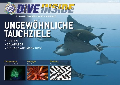 Web-Version (13.3 MB) - DiveInside
