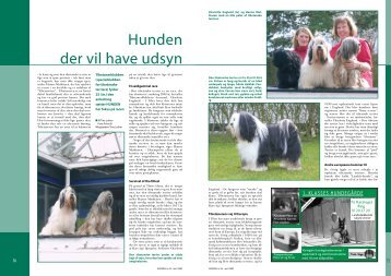 PDF-file: Tibetansk Terrier - Dansk Kennel Klub