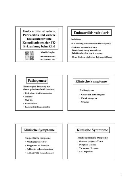 PowerPoint - Endocarditis, Pericarditis, FK-Komplikationen Wdk 2007