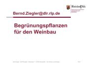 Begrünungspflanzen für den Weinbau - DLR Rheinpfalz