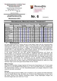 KIS 6 Reifemessung, Maischestandzeit, Traubensft.pdf - DLR