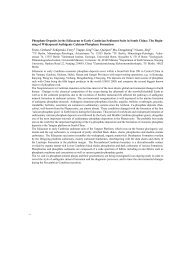 Joint Meeting Deutsche Mineralogische Gesellschaft
