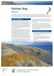 Palliser Bay: conservation revealed: publications - Department of ...