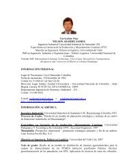 Currículum Vitae WILSON ADARME JAIMES Ingeniero Industrial ...