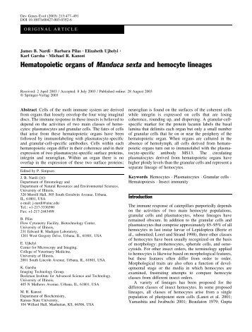 Hematopoietic organs of Manduca sexta and hemocyte lineages