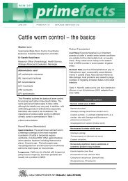 Cattle worm control - the basics - NSW Department of Primary ...