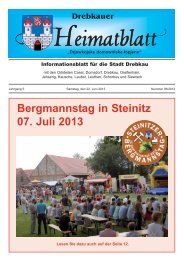 Bergmannstag in Steinitz 07. Juli 2013 - Stadt Drebkau