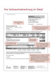 Ihre Verbrauchsabrechnung im Detail