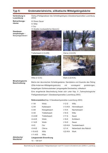 Typ 5: Grobmaterialreiche, silikatische Mittelgebirgsbäche