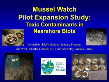 Presentation on Mussel Watch use of caged and native mussels