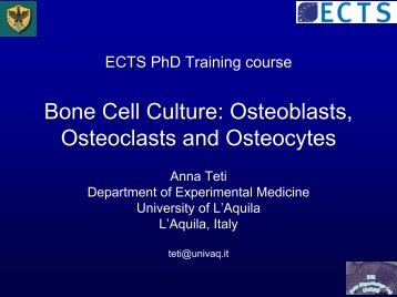 Bone cell culture: Osteoblasts, osteoclasts and osteocytes - Anna Teti