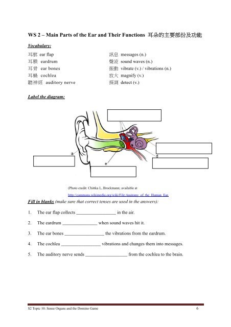 S2 Topic 10 Sense Organs and the Domino Game