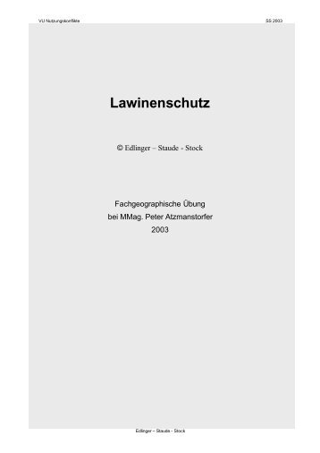 Lawinenschutz