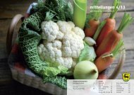 mitteilungen 4/13 - Gemeinde Eglisau