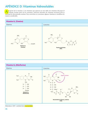 APÉNDICE D: Vitaminas hidrosolubles