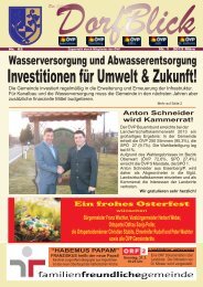 Investitionen für Umwelt & Zukunft! - Gemeinde Deutsch Schützen ...