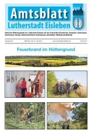 Feuerbrand im Hüttengrund - Lutherstadt Eisleben