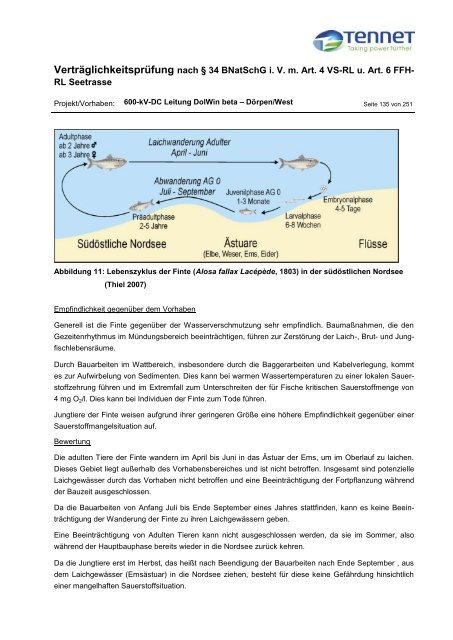 Erläuterungsbericht - Stadt Emden