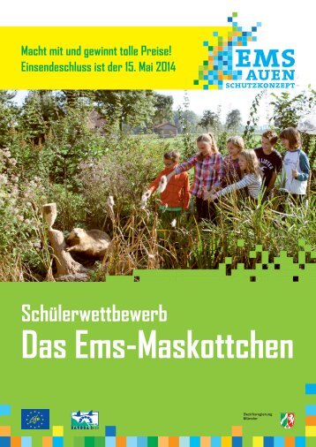 Ausschreibungsunterlagen - Ems