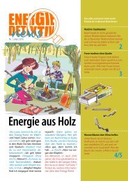 Energie aus Holz - Energiedetektive