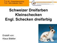 Praesentation Schweizer Dreifarben Kleinschecken.pdf