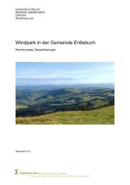 Gesamtkonzept Windpark Entlebuch - Gemeinde Entlebuch