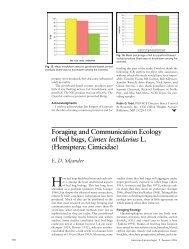 Hemiptera: Cimicidae - Entomological Society of America