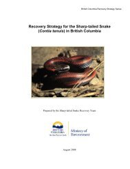 Recovery Strategy for the Sharp-tailed Snake (Contia tenuis) in ...