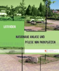 naturnahe anlage und pflege von parkplätze - Portail de l ...