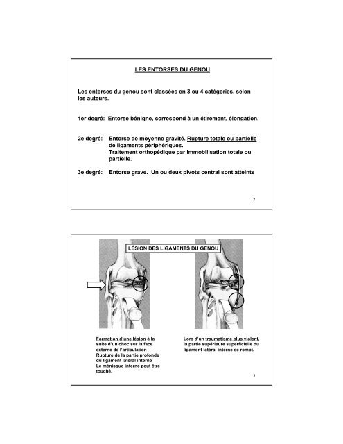 Le genou et le ligament croisé postérieur Figure 111 : Structures du ...