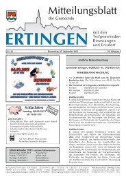 Ausgabe 36 vom 05.09.2013 - Ertingen