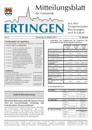 Ausgabe 41 vom 10.10.2013 - Ertingen