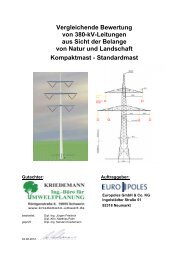 Vergleichende Bewertung von 380-kV-Leitungen aus ... - Europoles