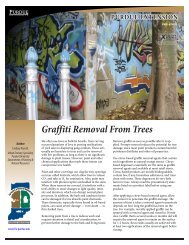 Graffiti Removal From Trees - Purdue Extension - Purdue University