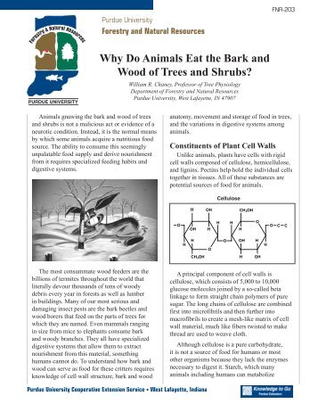 Why Do Animals Eat the Bark of Trees and Shrubs? - Purdue ...