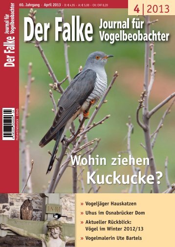 PDF 1 MB - Der Falke