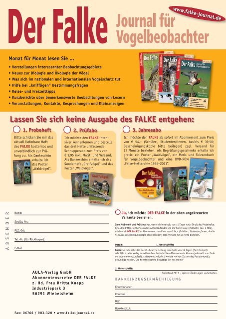 als PDF - Der Falke