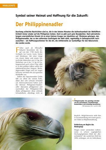 Der Philippinenadler - Der Falke