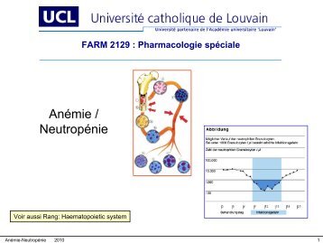 Anémie / Neutropénie