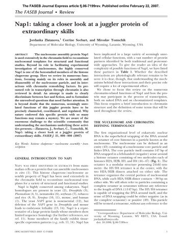 Nap1 - The FASEB Journal