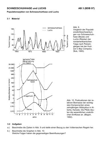 Arbeitsblatt 3