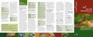 Das Veranstaltungsfaltblatt zum Tag der Artenvielfalt ... - Feuerbach