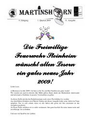 11. Ausgabe / 1. Quartal 2009 - Freiwillige Feuerwehr Steinheim