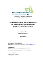 Langzeitwirkung einer Bor-Vorratsdüngung mit ... - FH Bingen