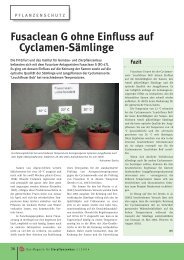 Fusaclean G ohne Einfluss auf Cyclamen-Sämlinge