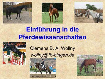 Phylogenese und Domestikation - FH Bingen