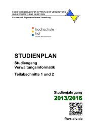 Studienplan für den Studienjahrgang 2013/2016 - Bayerische ...