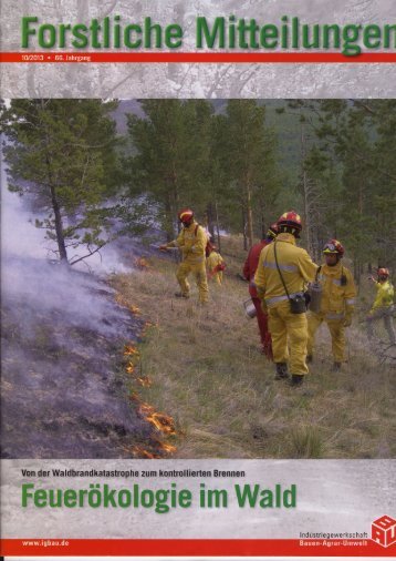 Waldbrandforschung - The Global Fire Monitoring Center