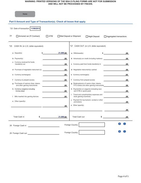 5 Appendix I Examples of the Completion of the FinCEN Currency ...